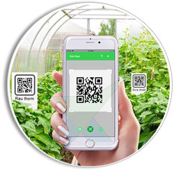 Tăng Hiệu Quả Quản Lý Sản Phẩm Với Tem QR Code