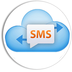 Thuê đầu số SMS, giải pháp Marketing cho các doanh nghiệp