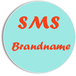 Chìa khóa thành công của chiến dịch SMS Brandname
